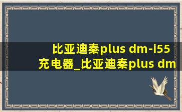 比亚迪秦plus dm-i55充电器_比亚迪秦plus dm-i55充电器是多少v